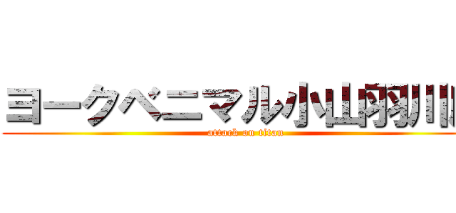ヨークベニマル小山羽川店 (attack on titan)