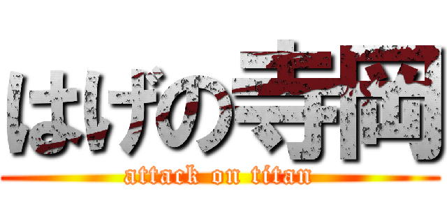 はげの寺岡 (attack on titan)