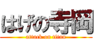 はげの寺岡 (attack on titan)