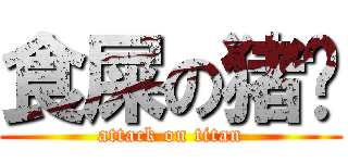 食屎の猪润 (attack on titan)