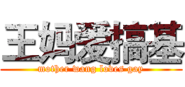 王妈爱搞基 (mother wang loves gay)