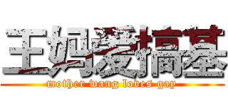 王妈爱搞基 (mother wang loves gay)