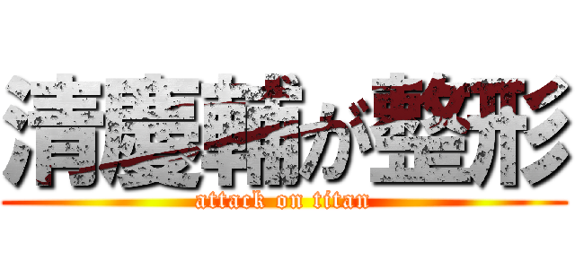 清慶輔が整形 (attack on titan)