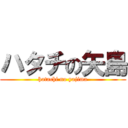 ハタチの矢島 (hatachi no yajima)