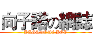 向子諾の網誌 (HANDSOME BOY)