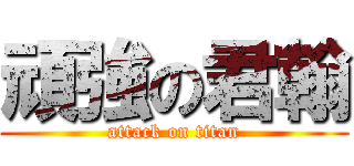 頑強の君翰 (attack on titan)