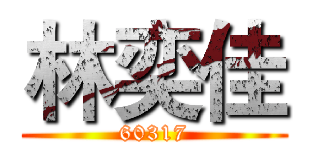 林奕佳 (60317)