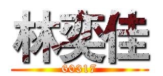 林奕佳 (60317)