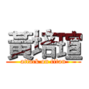 黃培瑄 (attack on titan)