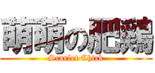 萌萌の肥鶏 (Scarlet Chick)
