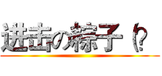 进击の粽子（？ ()