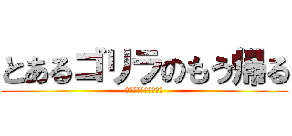 とあるゴリラのもう帰る (とある科学の超電磁砲)