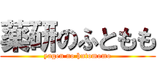 薬研のふともも (yagen no hutomomo)