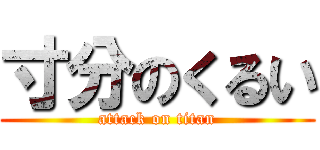 寸分のくるい (attack on titan)