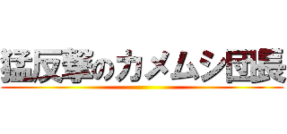 猛反撃のカメムシ団長 ()
