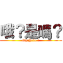 哦？是嗎？ (Oh!Yeke ?)