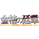 金桔の廷韋 (attack on titan)