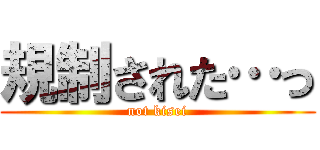 規制された…っ (not kisei)