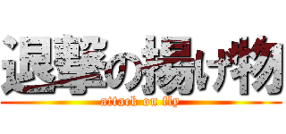 退撃の揚げ物 (attack on fly)