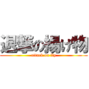 退撃の揚げ物 (attack on fly)