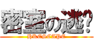 密室の逃脫 (HKESCAPE)