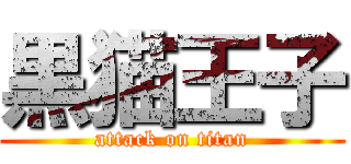 黒猫王子 (attack on titan)