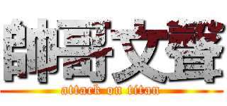 帥哥文聲 (attack on titan)