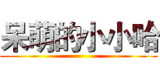 呆萌的小小哈 ()