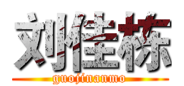 刘佳栋 (guojinanmo)