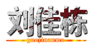 刘佳栋 (guojinanmo)