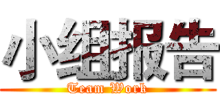 小组报告 (Team Work)