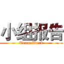 小组报告 (Team Work)