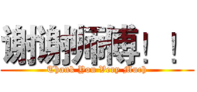 谢谢师傅！！ (Thank You Very Much)