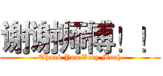 谢谢师傅！！ (Thank You Very Much)