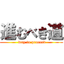 進むべき道 ( way to proceed)