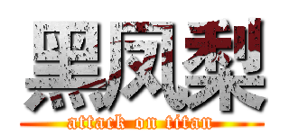 黑凤梨 (attack on titan)
