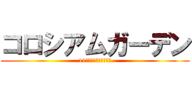 コロシアムガーデン (11月２３日１８：００～)
