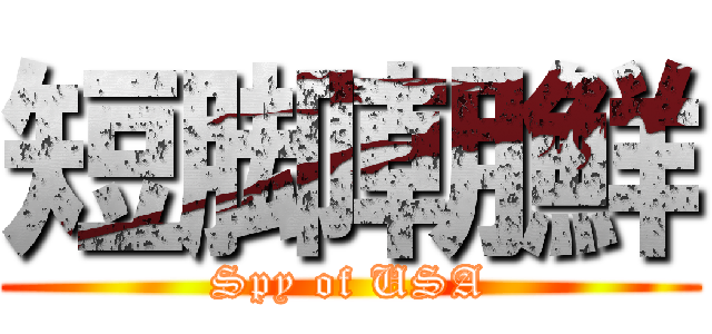 短脚朝鮮 (Spy of USA)