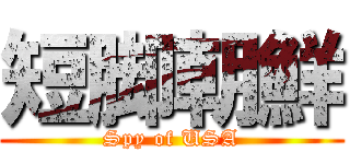 短脚朝鮮 (Spy of USA)