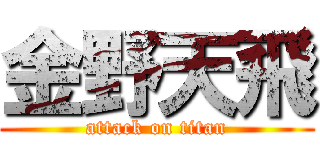 金野天飛 (attack on titan)