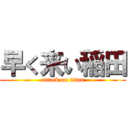 早く来い稲田 (attack on titan)