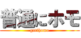 普通にホモ (gatihomo)
