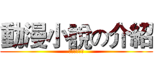 動漫小說の介紹 (ライトノベル)