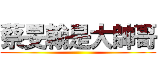 蔡旻翰是大帥哥 ()