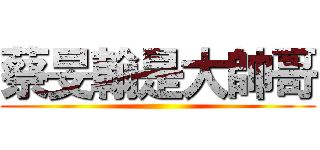 蔡旻翰是大帥哥 ()