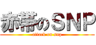 赤帯のＳＮＰ (attack on snp)