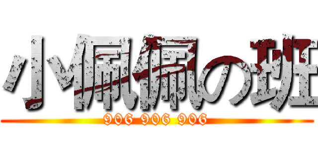 小佩佩の班 (906 906 906)