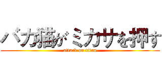 バカ猫がミカサを押す (attack on titan)