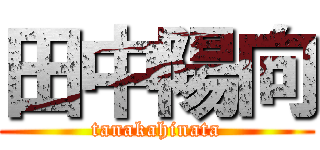 田中陽向 (tanakahinata)