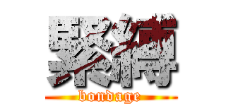 緊縛 (bondage)